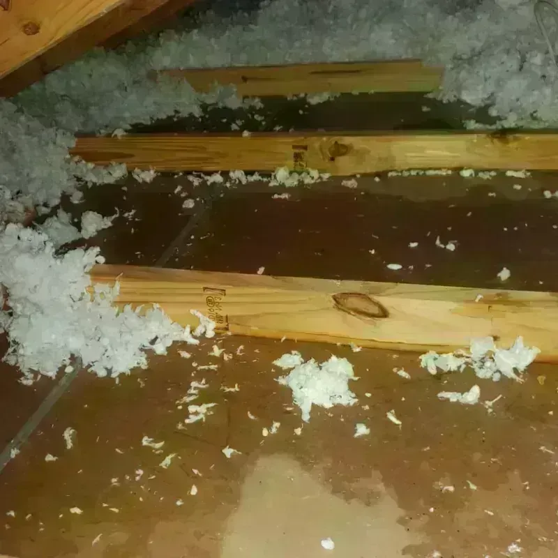 Attic Water Damage in Youngsville, LA