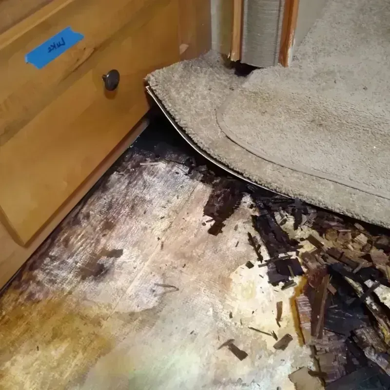 Best Wood Floor Water Damage Service in Youngsville, LA